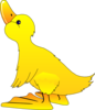 Yellow Chick Clip Art